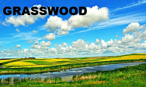 Grasswood